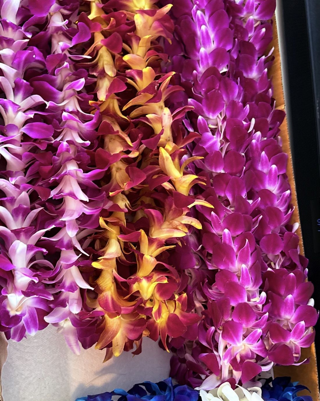 Stacked orchid leis in magenta, purple and gold, photographed by a FloraLoop seller on Oahu